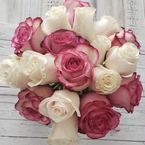 Meet your Posher, Lenis